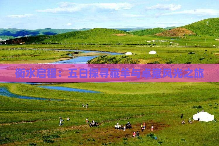 衡水启程：五日探寻藏羊与卓雍风光之旅
