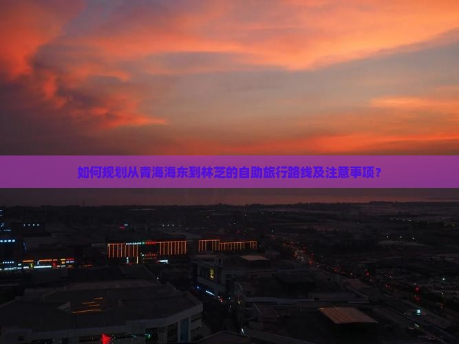 如何规划从青海海东到林芝的自助旅行路线及注意事项？