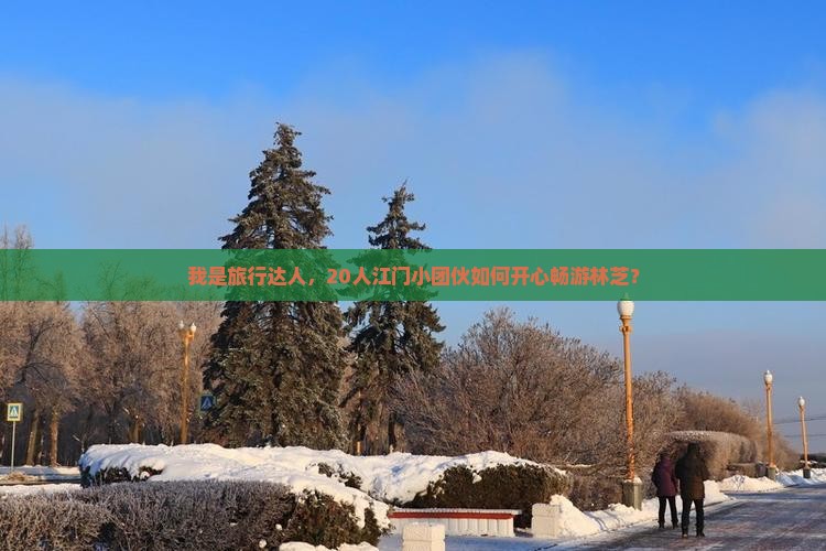 我是旅行达人，20人江门小团伙如何开心畅游林芝？
