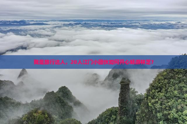我是旅行达人，20人江门小团伙如何开心畅游林芝？