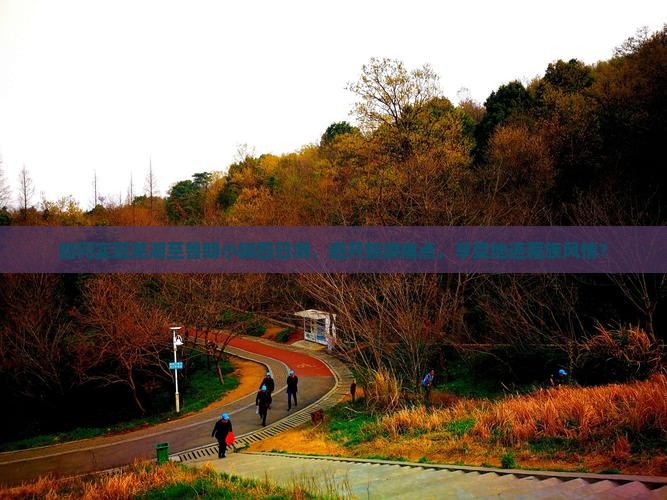 如何实现芜湖至鲁朗小镇四日游，避开旅游痛点，享受地道藏族风情？