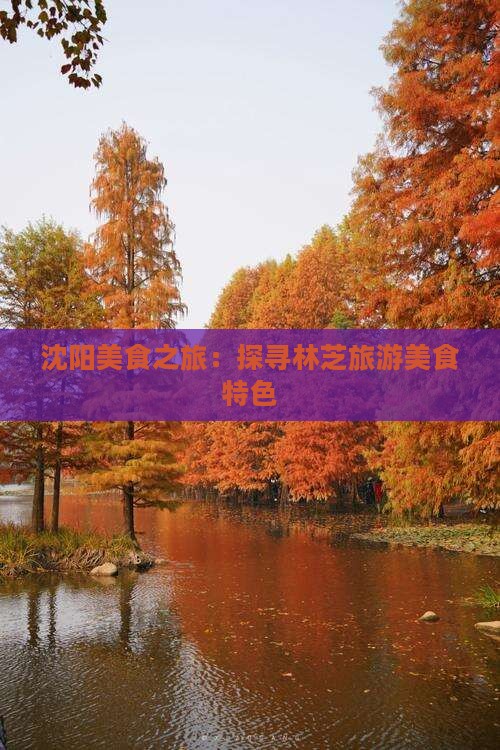 沈阳美食之旅：探寻林芝旅游美食特色