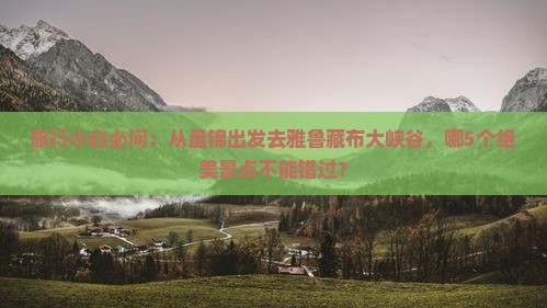 旅行小白必问：从盘锦出发去雅鲁藏布大峡谷，哪5个绝美景点不能错过？
