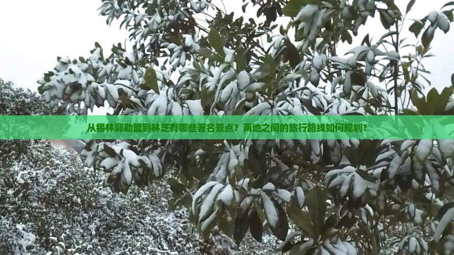 从锡林郭勒盟到林芝有哪些著名景点？两地之间的旅行路线如何规划？