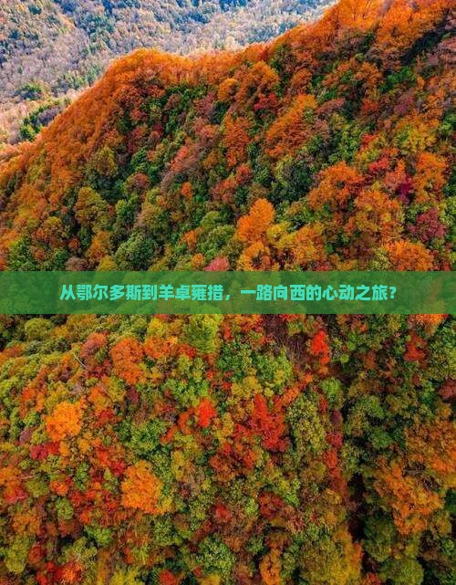 从鄂尔多斯到羊卓雍措，一路向西的心动之旅？