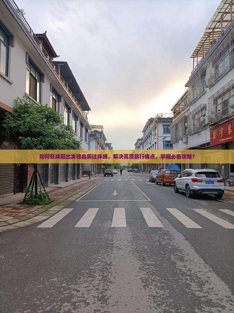 如何在咸阳出发独自前往珠峰，解决高原旅行痛点，掌握必备攻略？