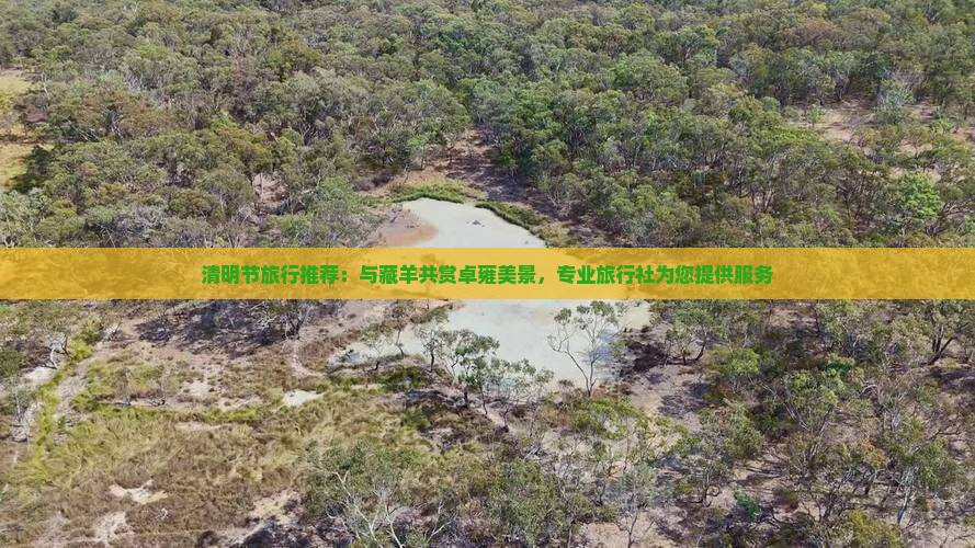 清明节旅行推荐：与藏羊共赏卓雍美景，专业旅行社为您提供服务