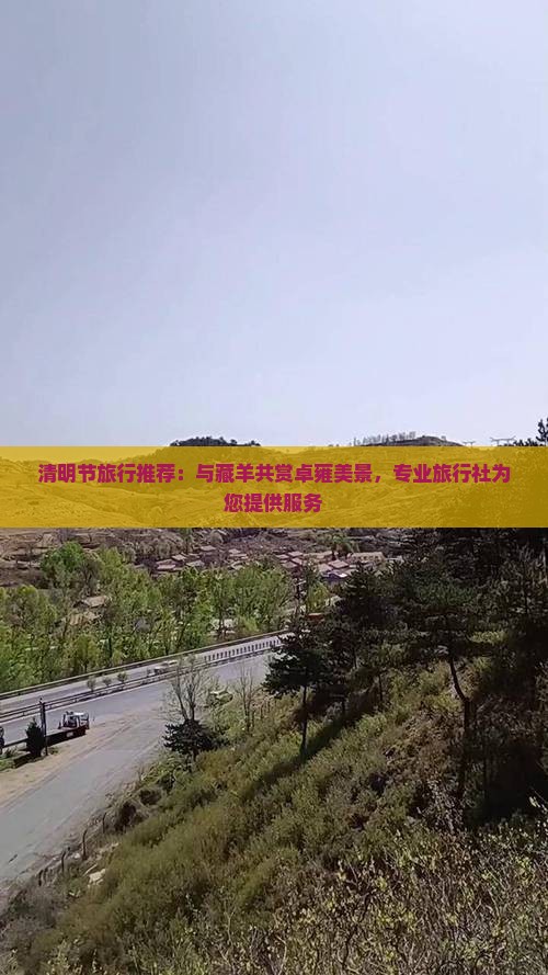 清明节旅行推荐：与藏羊共赏卓雍美景，专业旅行社为您提供服务