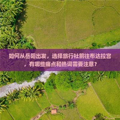如何从岳阳出发，选择旅行社前往布达拉宫，有哪些痛点和热词需要注意？