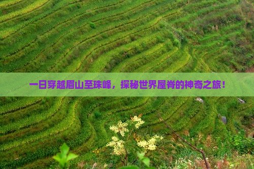 一日穿越眉山至珠峰，探秘世界屋脊的神奇之旅！