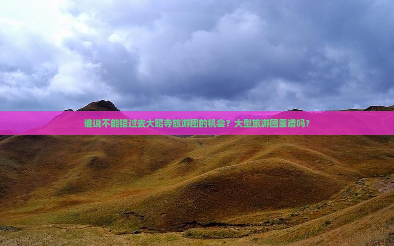 谁说不能错过去大昭寺旅游团的机会？大型旅游团靠谱吗？
