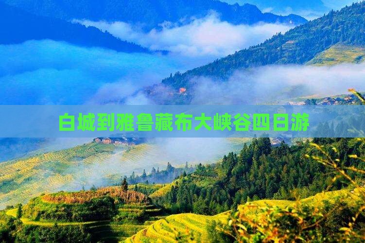 白城到雅鲁藏布大峡谷四日游