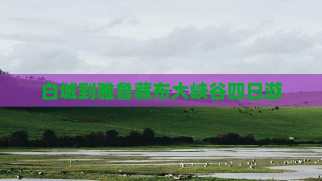 白城到雅鲁藏布大峡谷四日游