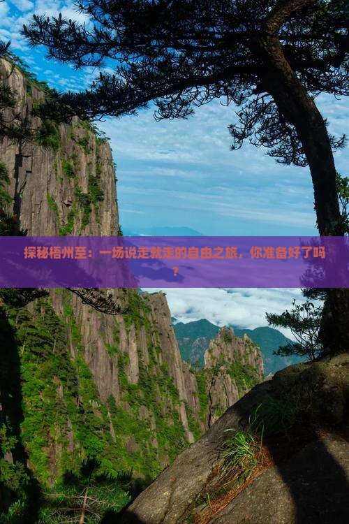 探秘梧州至：一场说走就走的自由之旅，你准备好了吗？