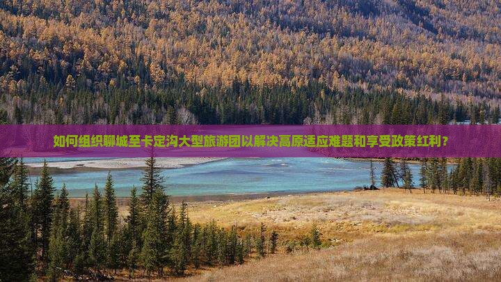 如何组织聊城至卡定沟大型旅游团以解决高原适应难题和享受政策红利？