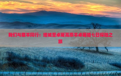 我们与藏羊同行：塔城至卓雍高原羊卓雍措七日探险之旅