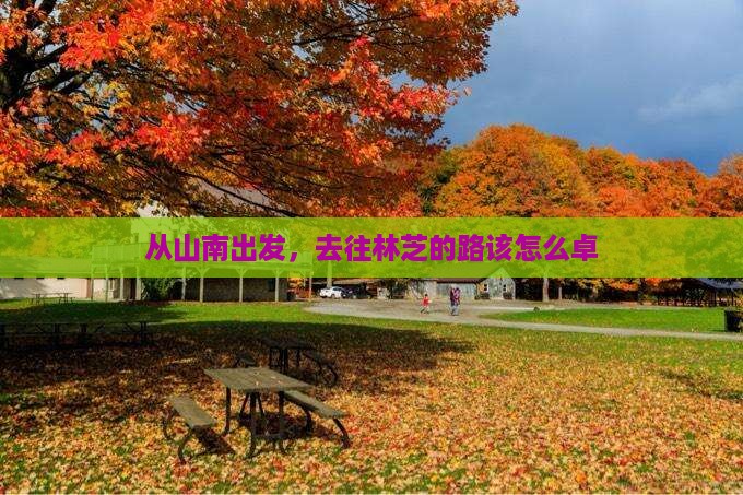 从山南出发，去往林芝的路该怎么卓