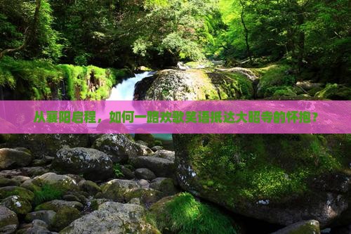 从襄阳启程，如何一路欢歌笑语抵达大昭寺的怀抱？
