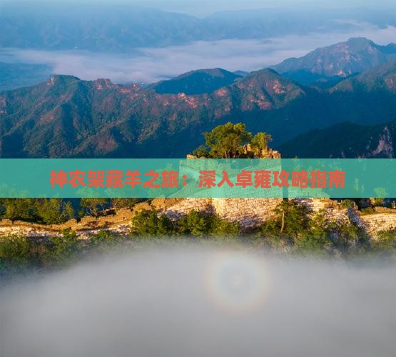 神农架藏羊之旅：深入卓雍攻略指南