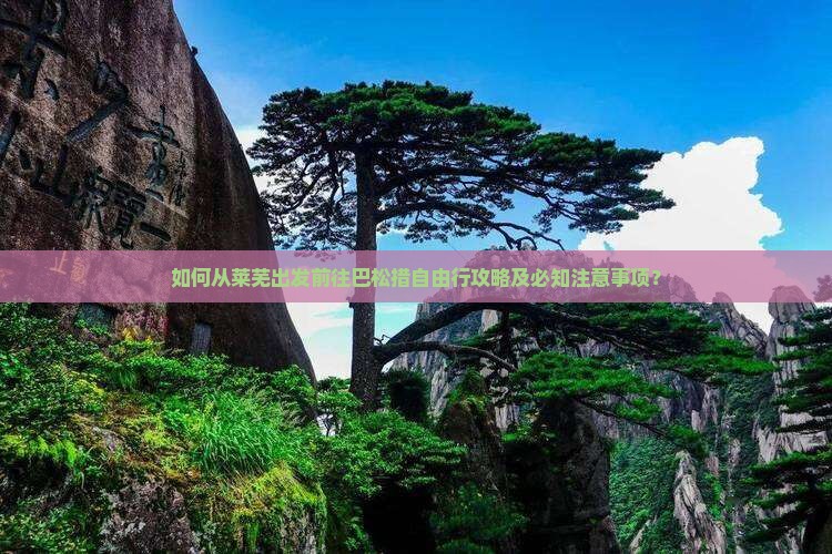 如何从莱芜出发前往巴松措自由行攻略及必知注意事项？