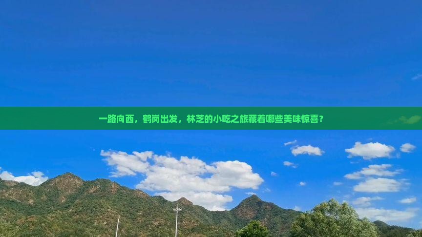 一路向西，鹤岗出发，林芝的小吃之旅藏着哪些美味惊喜？