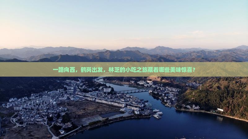 一路向西，鹤岗出发，林芝的小吃之旅藏着哪些美味惊喜？