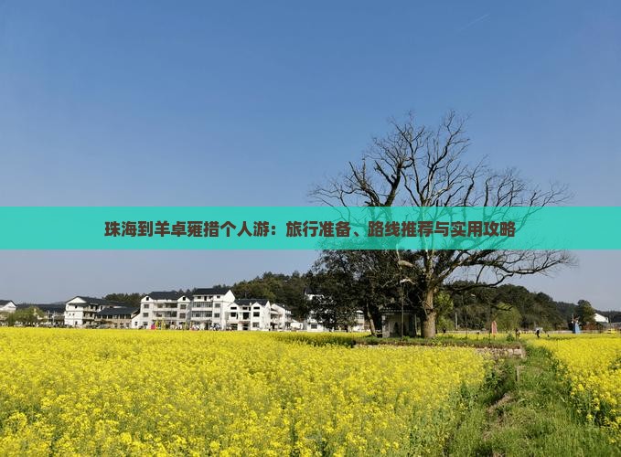 珠海到羊卓雍措个人游：旅行准备、路线推荐与实用攻略