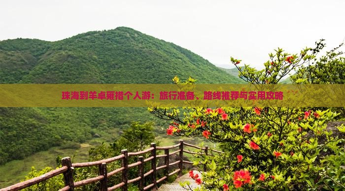 珠海到羊卓雍措个人游：旅行准备、路线推荐与实用攻略