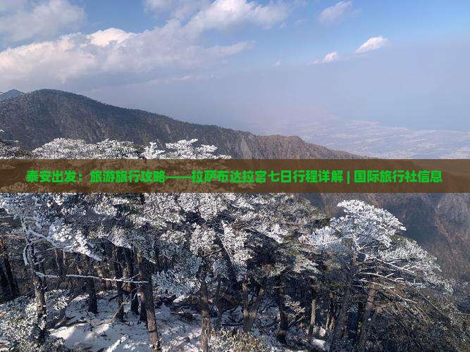 泰安出发：旅游旅行攻略——拉萨布达拉宫七日行程详解 | 国际旅行社信息