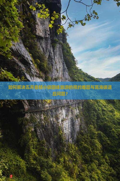 如何解决五月鲁朗小镇团体旅游的预约难题与高海拔适应问题？