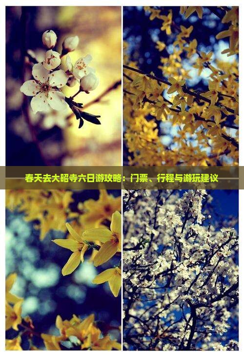 春天去大昭寺六日游攻略：门票、行程与游玩建议