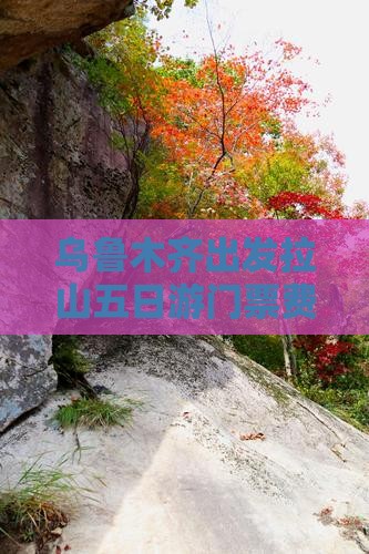 乌鲁木齐出发拉山五日游门票费用约为全解析