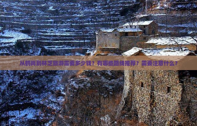 从鹤岗到林芝旅游需要多少钱？有哪些路线推荐？需要注意什么？