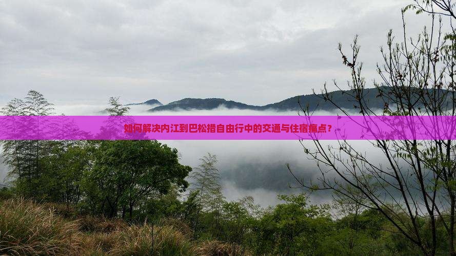 如何解决内江到巴松措自由行中的交通与住宿痛点？