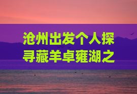沧州出发个人探寻藏羊卓雍湖之旅