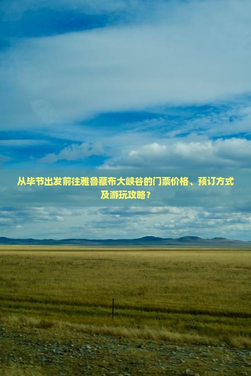 从毕节出发前往雅鲁藏布大峡谷的门票价格、预订方式及游玩攻略？