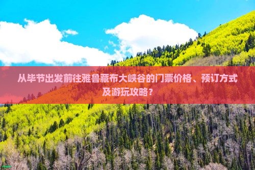 从毕节出发前往雅鲁藏布大峡谷的门票价格、预订方式及游玩攻略？
