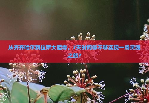 从齐齐哈尔到拉萨大昭寺，7天时间够不够实现一场灵魂之旅？