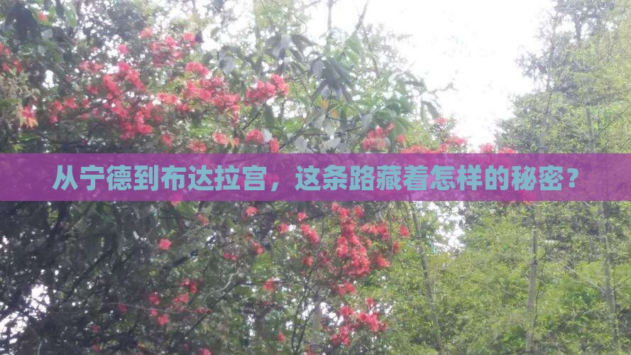 从宁德到布达拉宫，这条路藏着怎样的秘密？