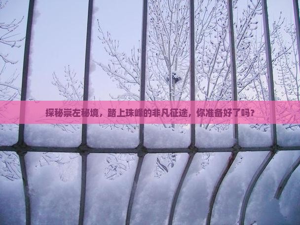 探秘崇左秘境，踏上珠峰的非凡征途，你准备好了吗？
