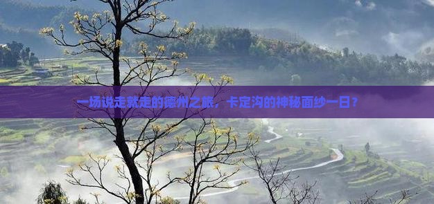 一场说走就走的德州之旅，卡定沟的神秘面纱一日？