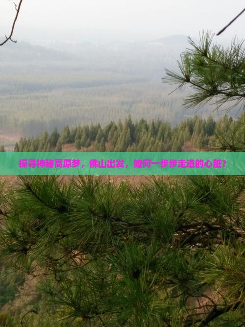 探寻神秘高原梦，佛山出发，如何一步步走进的心脏？