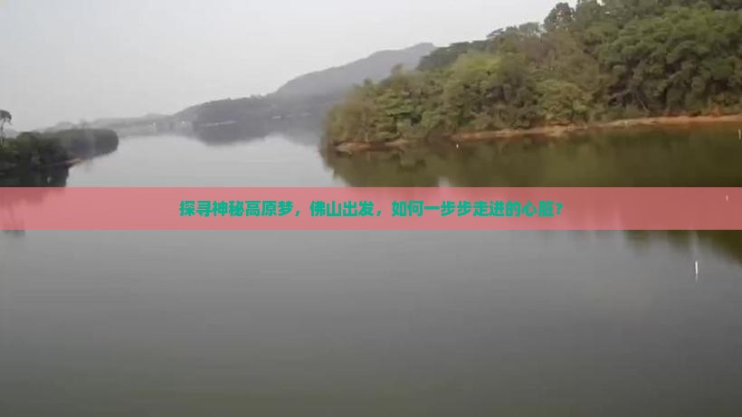 探寻神秘高原梦，佛山出发，如何一步步走进的心脏？
