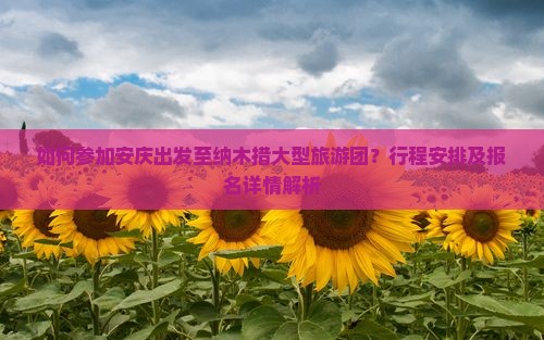如何参加安庆出发至纳木措大型旅游团？行程安排及报名详情解析