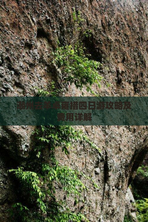 潮州去羊卓雍措四日游攻略及费用详解