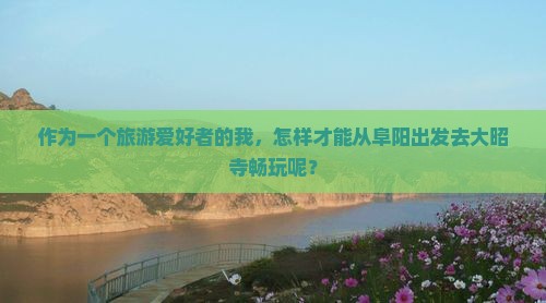 作为一个旅游爱好者的我，怎样才能从阜阳出发去大昭寺畅玩呢？