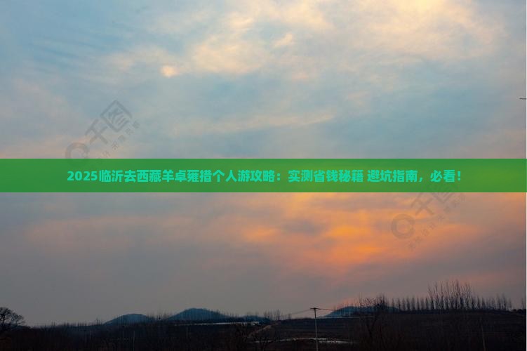 临沂去西藏羊卓雍措个人游