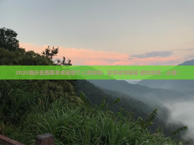 临沂去西藏羊卓雍措个人游