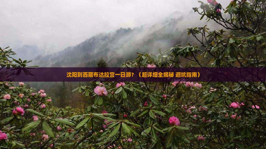 沈阳到西藏布达拉宫一日