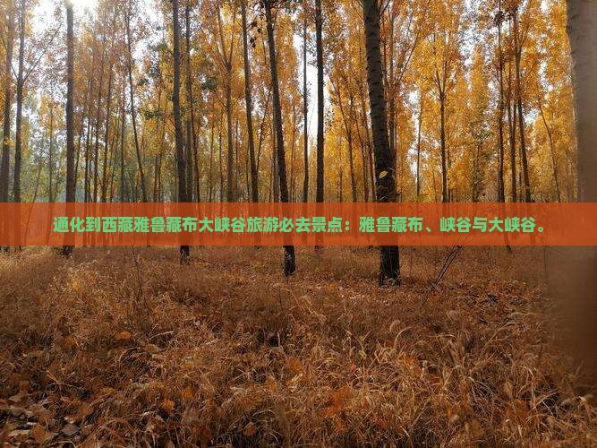 通化到西藏雅鲁藏布大峡谷必去地